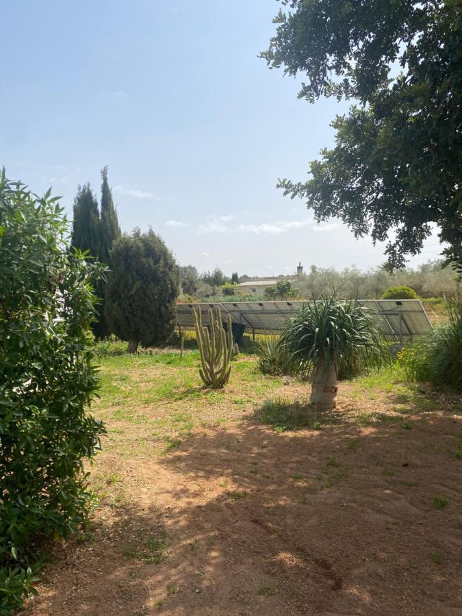 Casa Rural Las Marismas Llucmajor  Exterior foto